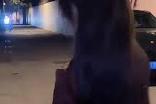 星华新材(301077)_最新价格_行情_走势图—东方财富网